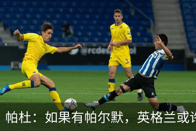 帕杜：如果有帕尔默，英格兰或许能破加纳防守