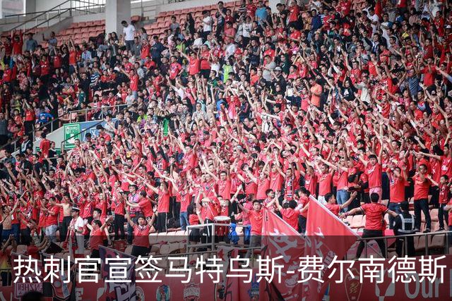 热刺官宣签马特乌斯-费尔南德斯 转会费8500万镑破纪录
